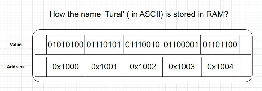 Binary Representation